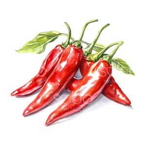 20 Chili Peppers Clipart, Kitchen Clipart, High Quality JPGs, Printable Watercolor Art, Digital Download, Paper Craft, Junk Journal S797