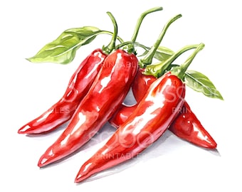 Clipart de 20 chiles, clipart de cocina, archivos JPG de alta calidad, acuarela imprimible, descarga digital, manualidades de papel, diario basura S797