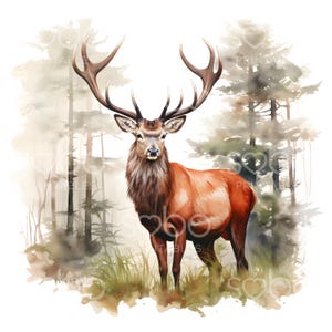 16 Red Deer Clipart, Forest Deer, High Quality JPGs, Digital Download, Card Making, Digital Paper Craft, Journals, Digital Paper Craft S168