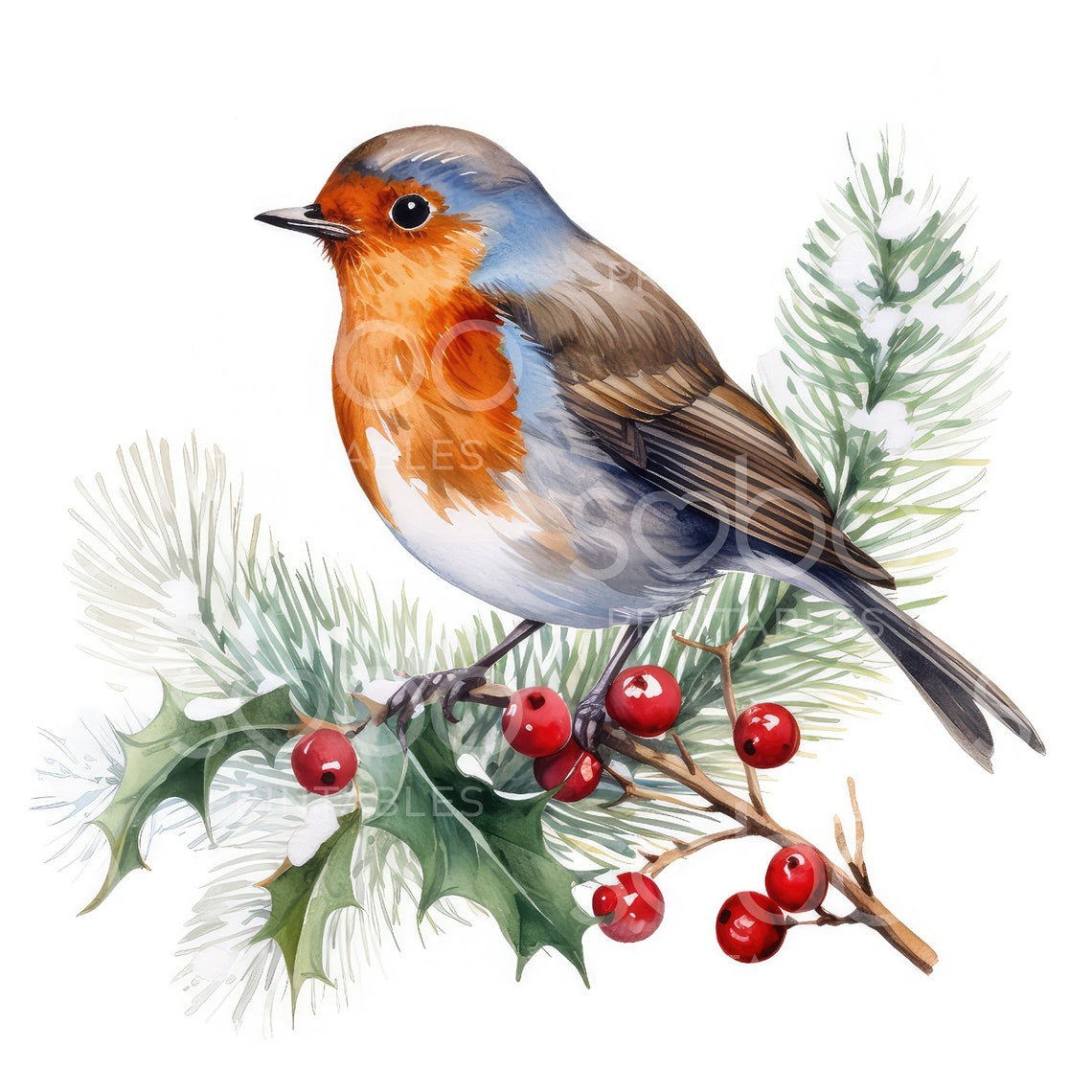 Christmas Robin Clipart - 10 High Quality Jpgs, Digital Planner, Junk ...
