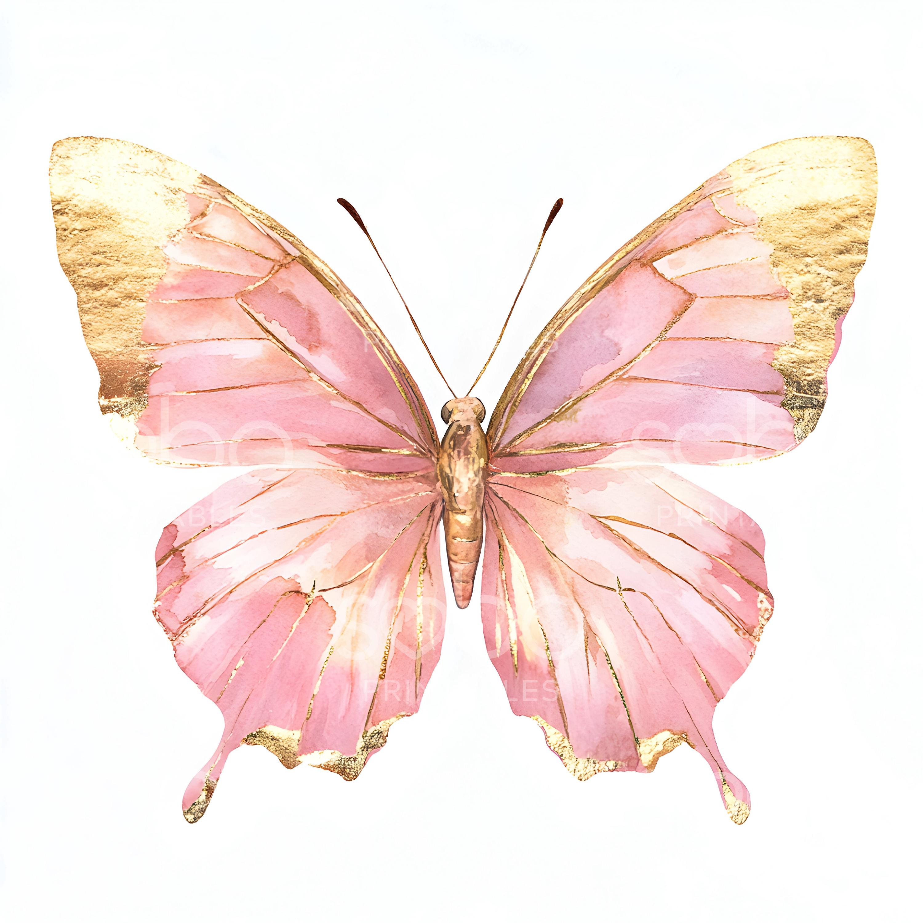 抽象的な蝶と顔のパステル画 il_fullxfull.6341738952_lk07.jpg