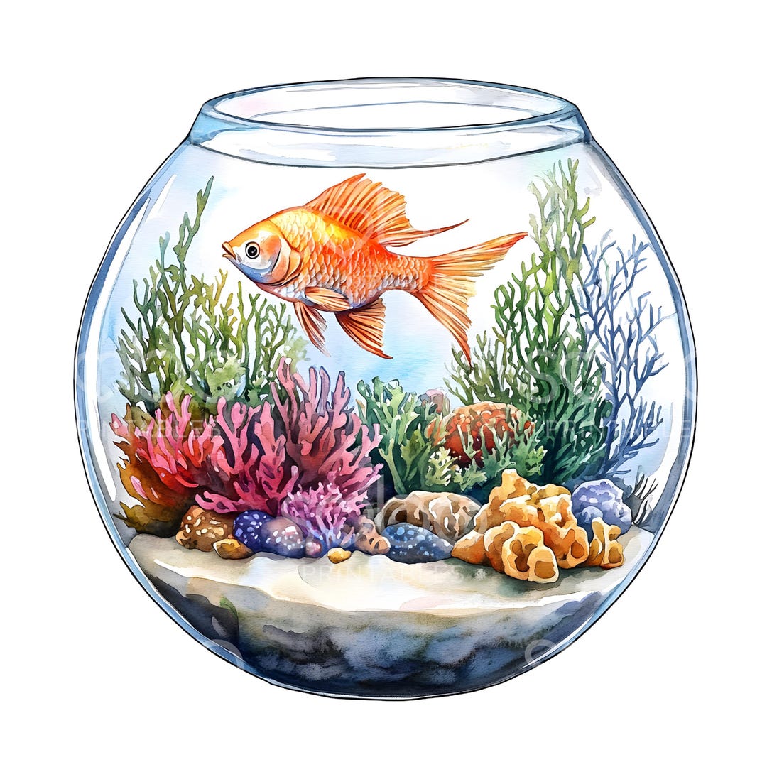 20種類の金魚鉢のクリップアート、金魚鉢のクリップアート、印刷可能な