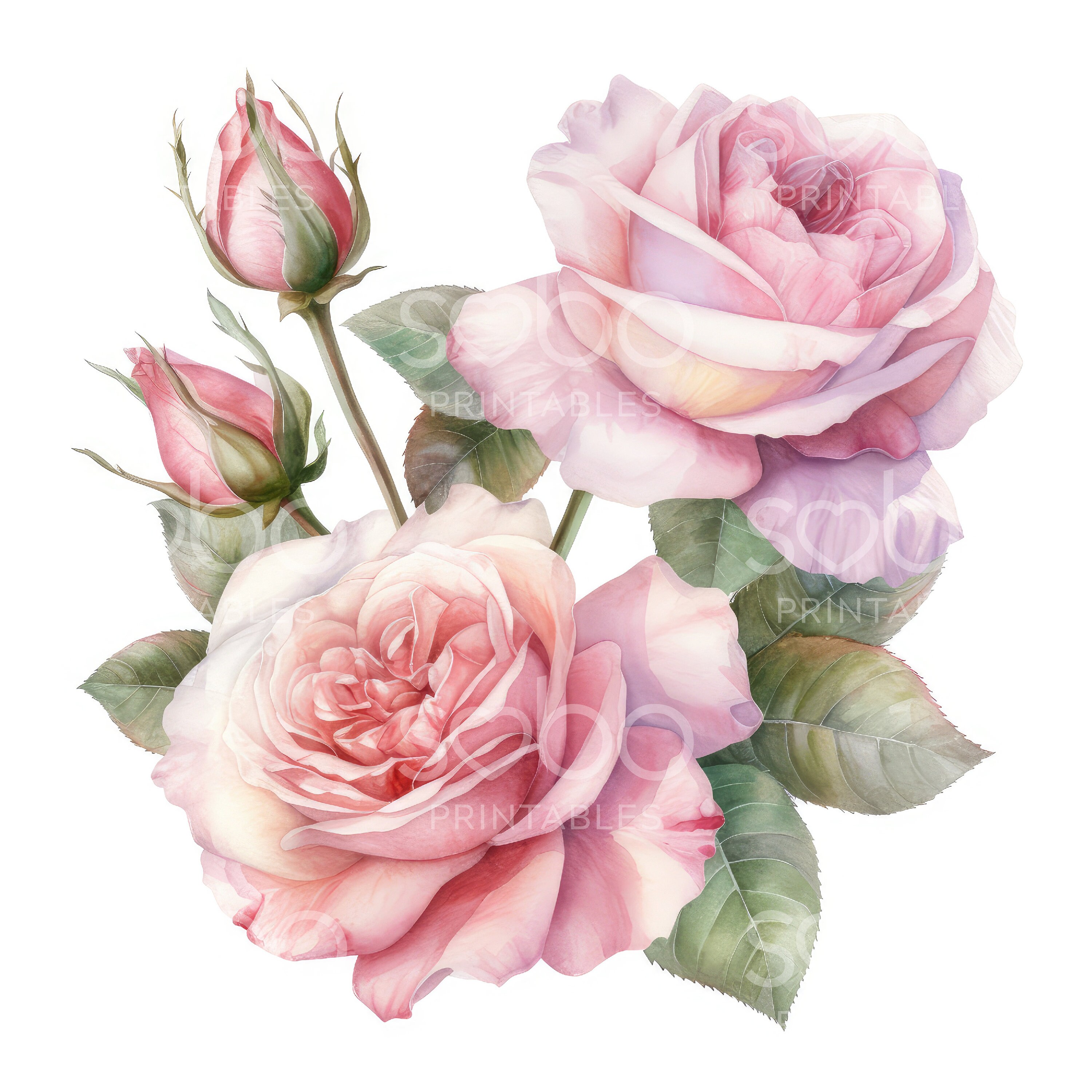 Pink Roses Clipart - 11 High Quality Jpgs, Digital Download, Junk ...