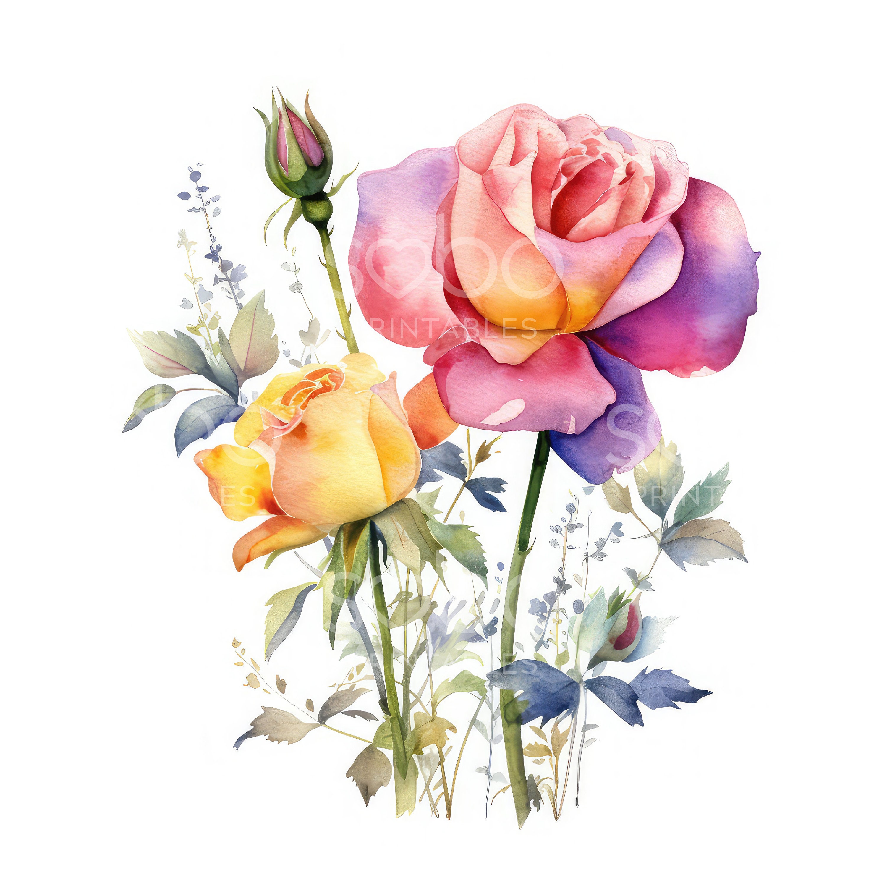 Colourful Roses Clipart - 11 High Quality Jpgs, Digital Download, Junk ...
