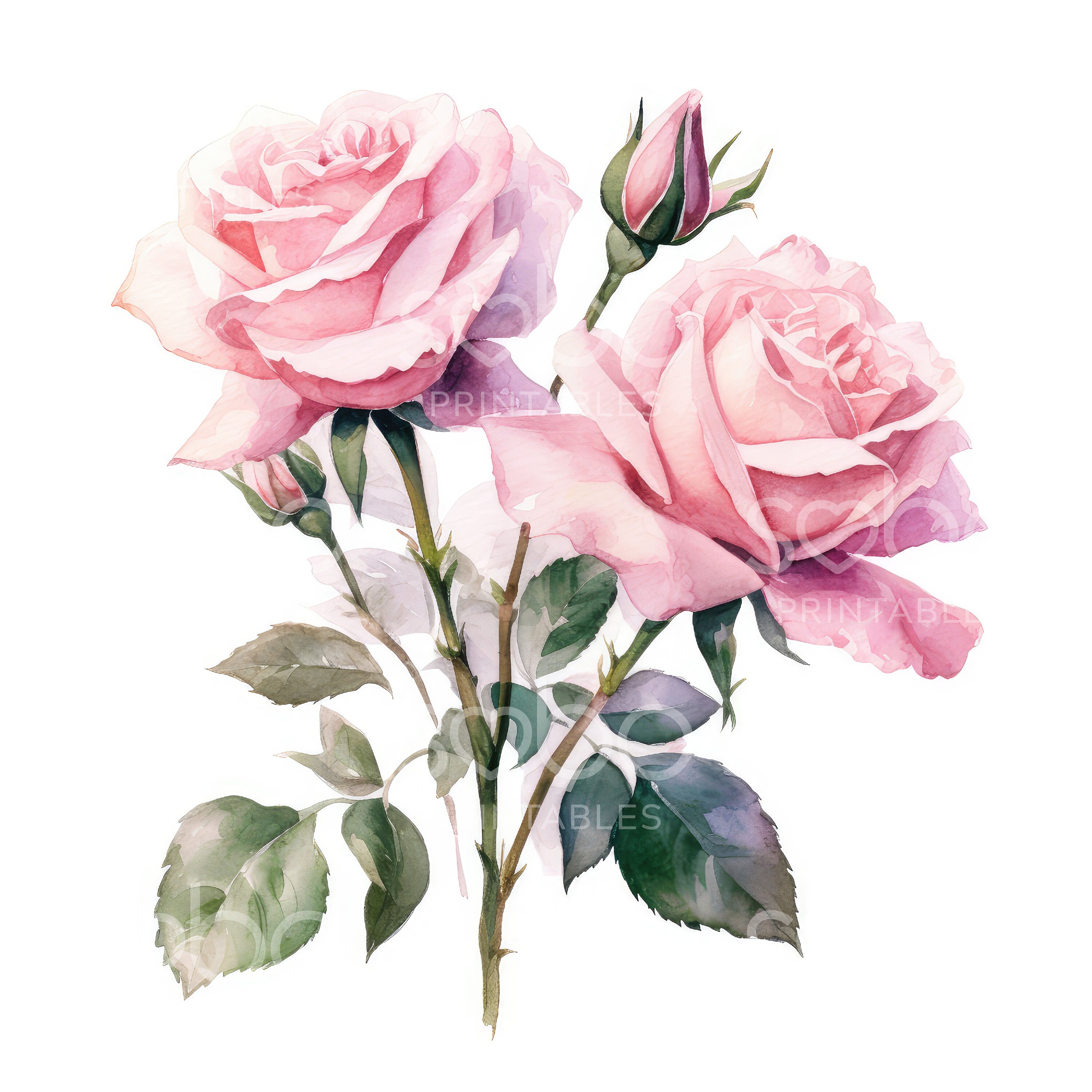 Pink Roses Clipart - 11 High Quality Jpgs, Digital Download, Junk ...