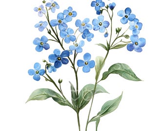 Könnte beinhalten: Ein Aquarellbild eines Straußes blauer Vergissmeinnicht-Blumen mit grünen Blättern.