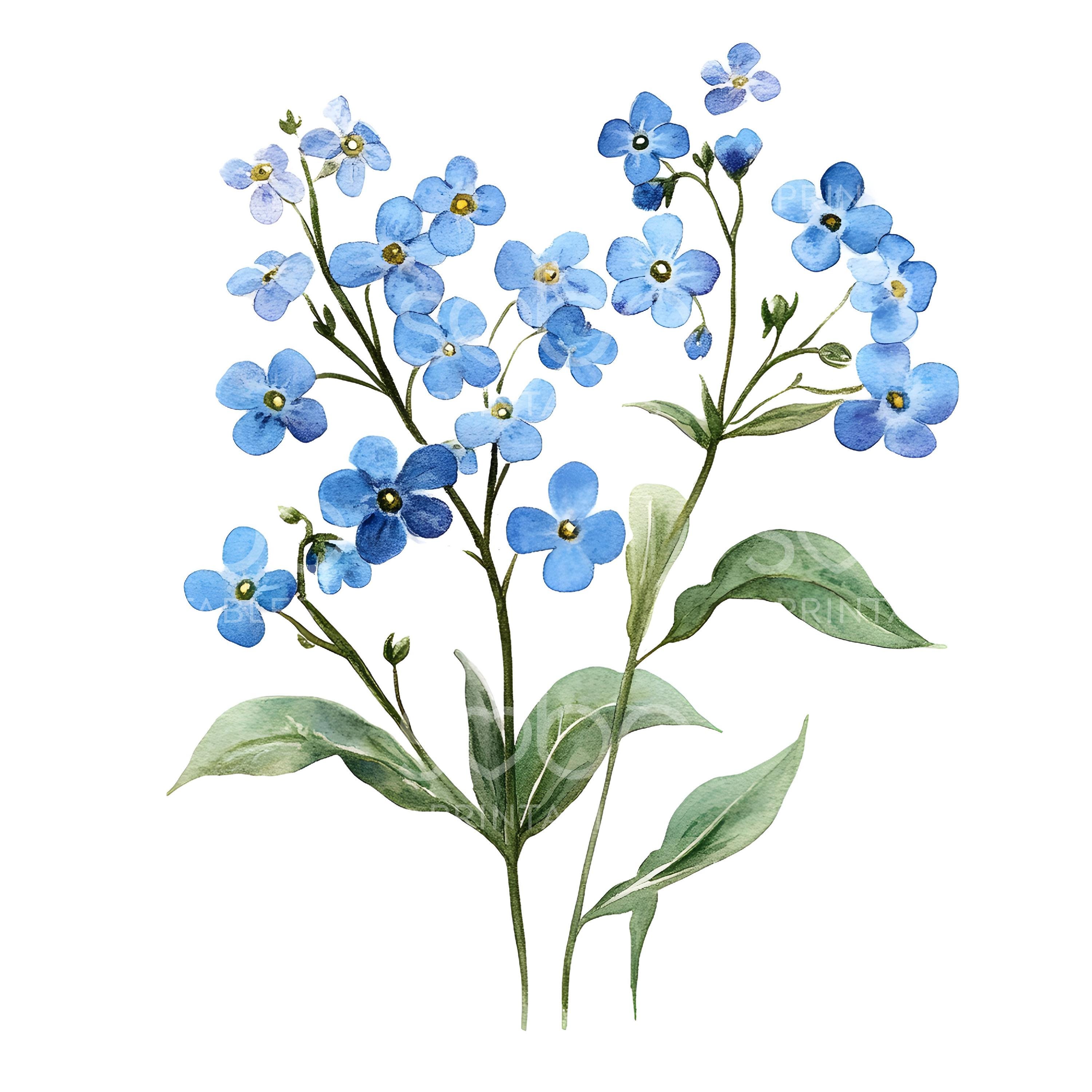 20 Forget-Me-Not Clipart Set – Watercolor Blue Flowers & Floral Wreaths, High-Resolution JPGs, Printable Digital Download for Crafts & Invitations