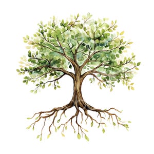May include: Watercolor painting of a green tree with brown roots and a brown trunk. The tree is isolated on a white background.
