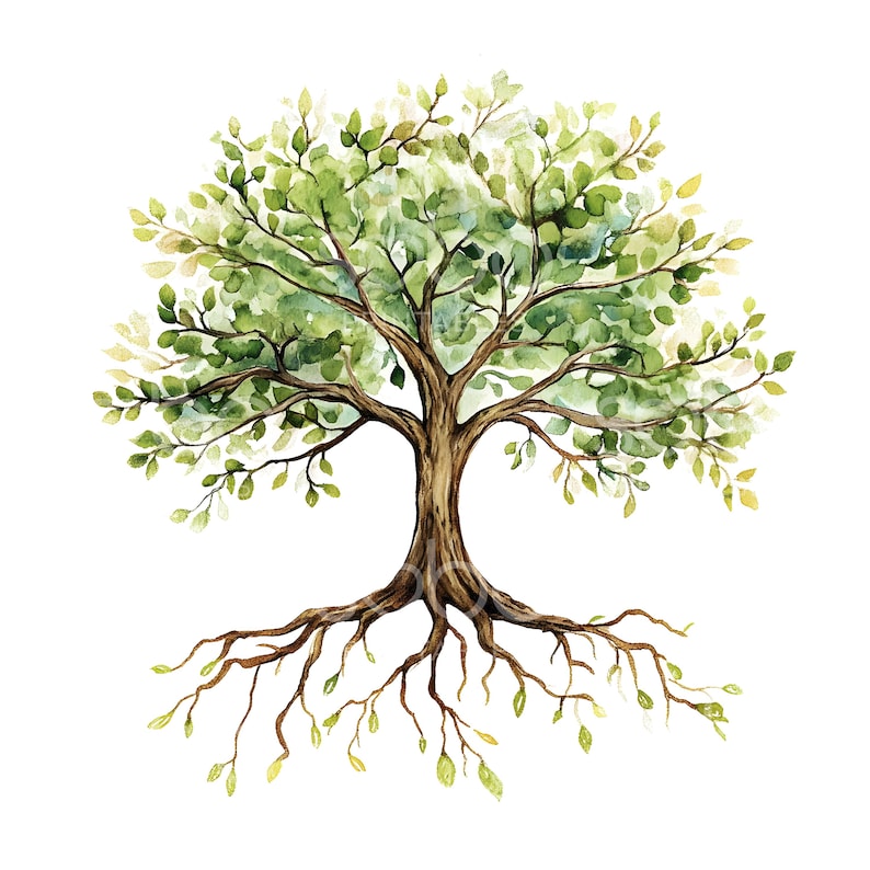 May include: Watercolor painting of a green tree with brown roots and a brown trunk. The tree is isolated on a white background.