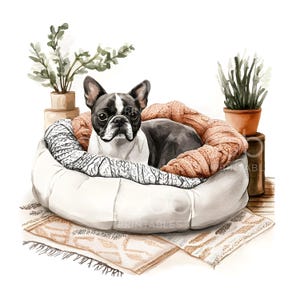 23 Cozy Dog Bed Clipart, Dog Lover Gift, Dog Bed, Printable Watercolor, High Quality JPGs, Digital Download, Paper Craft, Junk Journal S982