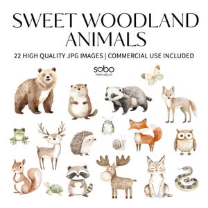 22 Waldtiere Clipart, Wald Tiere Clipart, Wald Tiere Clipart, Wald Tiere Clipart, Waldtiere, Wald Tiere, digitaler Download S373