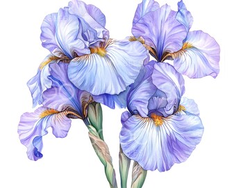 30 Iris Flower Clipart, Purple French Flowers, High Quality JPGs, Printable Watercolor, Digital Download, Paper Craft, Junk Journal U290