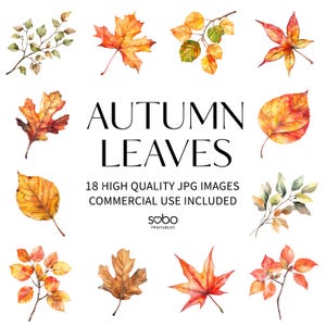 18 hojas de otoño, imágenes prediseñadas, archivos JPG de alta calidad, arte mural otoñal, álbum de recortes, diario basura, planificador digital, uso comercial, descarga digital S198