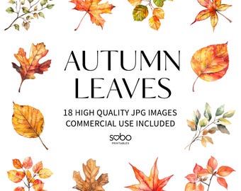 18 herfstbladeren clipart, hoge kwaliteit jpg's, kunst aan de muur herfst, plakboek, junk Journal, digitale planner, commercieel gebruik, digitale download S198