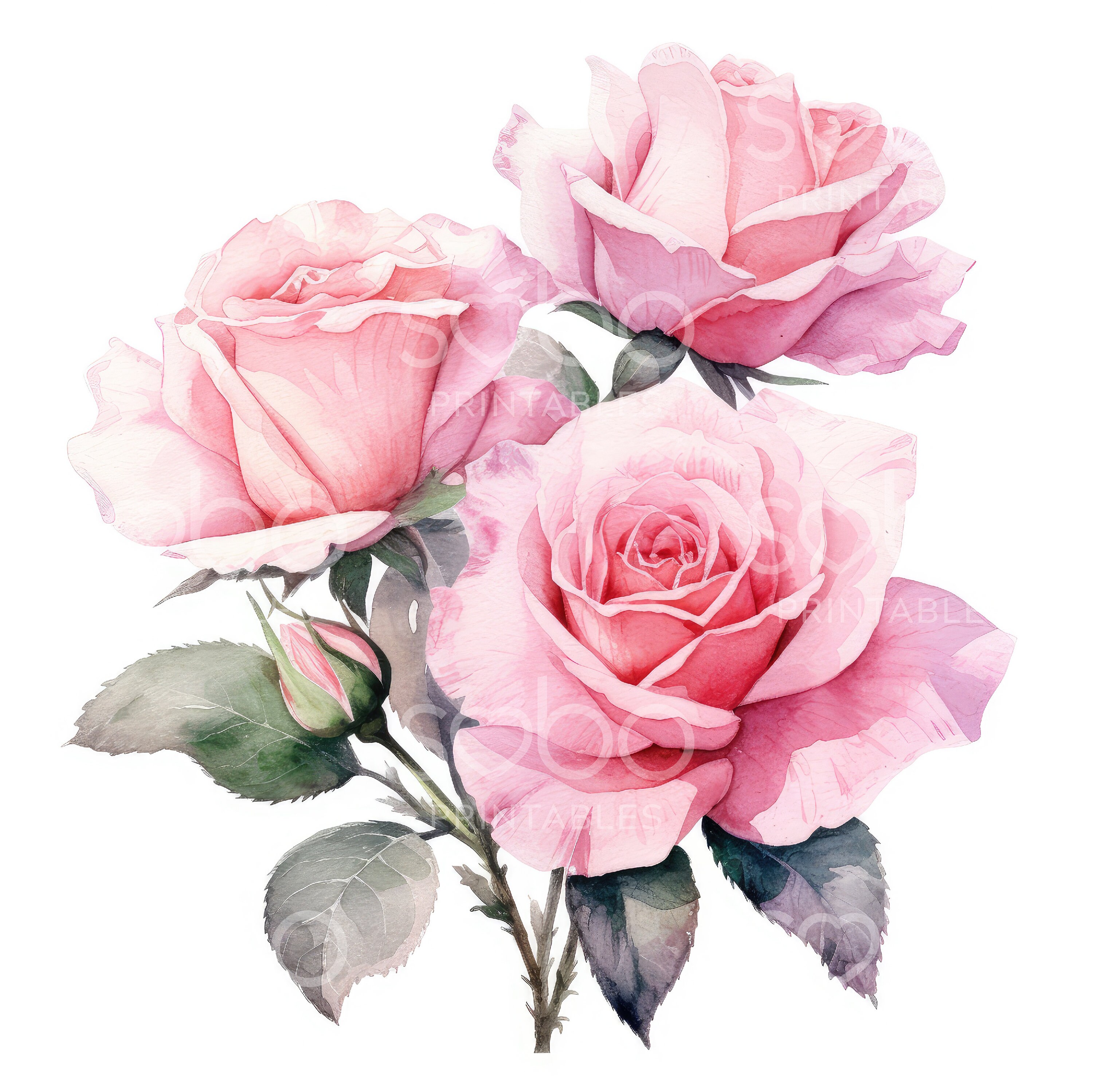 Pink Roses Clipart - 11 High Quality Jpgs, Digital Download, Junk ...