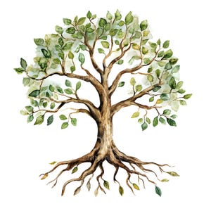 25 Clipart arbre de vie avec racines, arbre généalogique de chêne, clipart aquarelle imprimable, fichiers JPG de haute qualité, téléchargement numérique, créations en papier S447