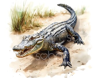 17 Large Crocodile Clipart, Crocodile in Marsh Swamp, Crocodile, Watercolor Clipart, Printable Clipart, Digital Download, Paper Craft S978