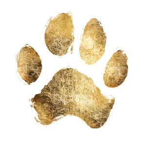 May include: A gold paw print with a textured, brushstroke effect.