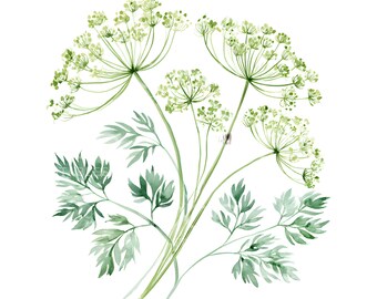 24 Dill Sprigs Clipart, Botanical Clipart, Dill Flower, Watercolor Clipart, Printable Clipart, Digital Download, Paper Craft U313