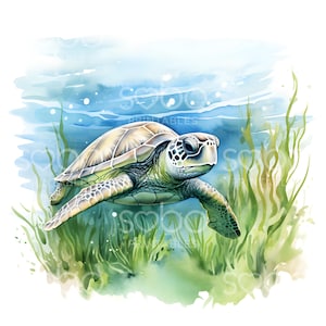 May include: A watercolor painting of a green sea turtle swimming in the ocean. The turtle is surrounded by green seaweed and the water is a light blue color.
