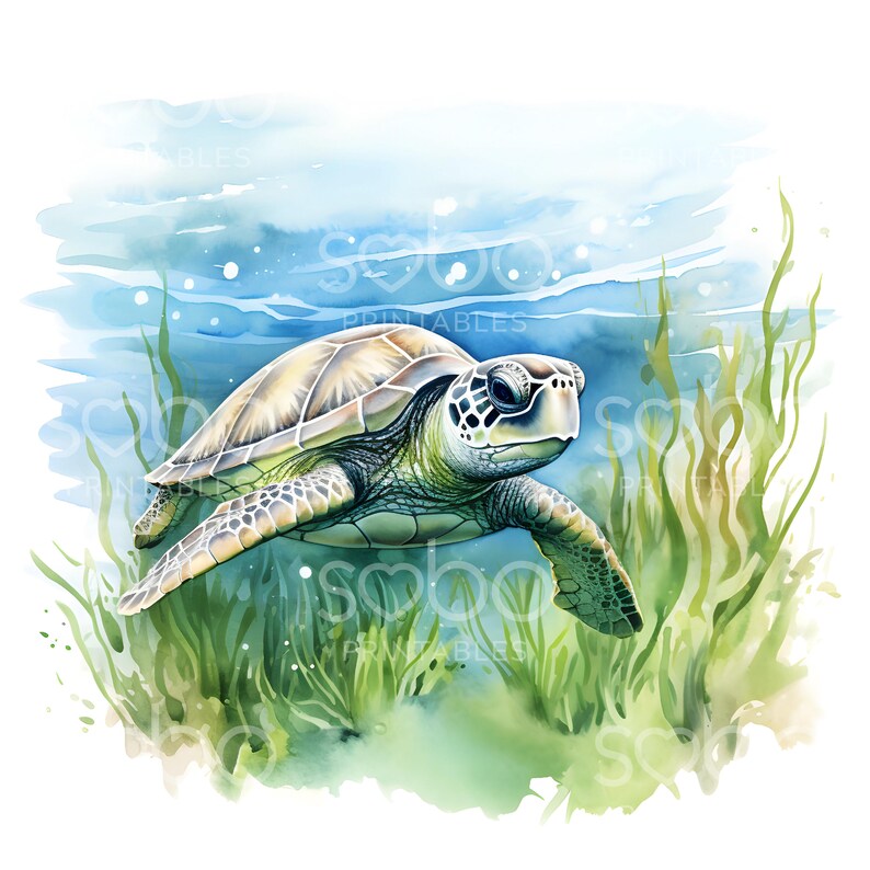 May include: A watercolor painting of a green sea turtle swimming in the ocean. The turtle is surrounded by green seaweed and the water is a light blue color.