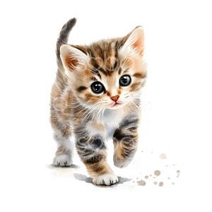 16 chaton mignon qui marche, clipart adorable chat, fichiers JPG de haute qualité, aquarelle imprimable, téléchargement numérique, créations en papier, journal indésirable S588