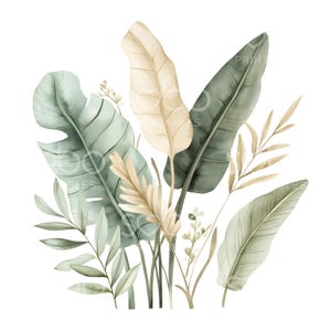 24 feuilles de bananier Clipart, Art tropical de verdure, feuille de bananier, aquarelle imprimable, fichiers JPG de haute qualité, téléchargement numérique, créations en papier S409