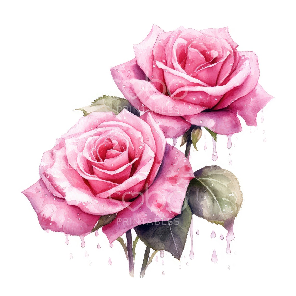 Pink Roses Clipart - 11 High Quality Jpgs, Digital Download, Junk ...