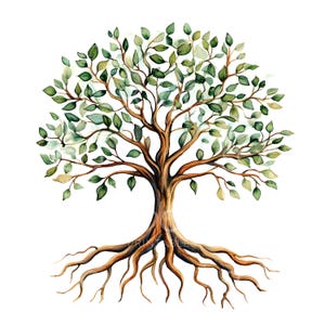 May include: Watercolor painting of a tree with green leaves and brown branches. The tree has a large, spreading crown and a thick trunk. The roots of the tree are visible and extend out from the trunk.