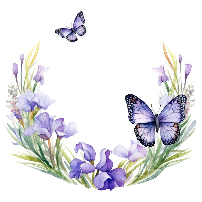 Watercolor Butterfly Wreath Clipart - 11 Jpgs Watercolor Botanical ...