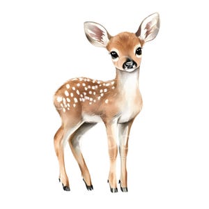 17 Clipart bébé faon, art de la chambre d'enfant Bambi, bébé cerf, clipart aquarelle imprimable, fichiers JPG de haute qualité, téléchargement numérique, créations en papier S488