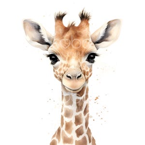 18 babygiraf clipart, giraffe kwekerij, afdrukbare aquarel clipart, hoge kwaliteit jpg's, digitale download, Wall Art baby, Paper Craft S149
