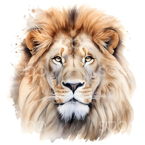 16 Lion Clipart, Lion Watercolor, Printable Watercolor Clipart, JPGs de alta qualidade, download digital, Safari Wall Art, Paper Craft S191