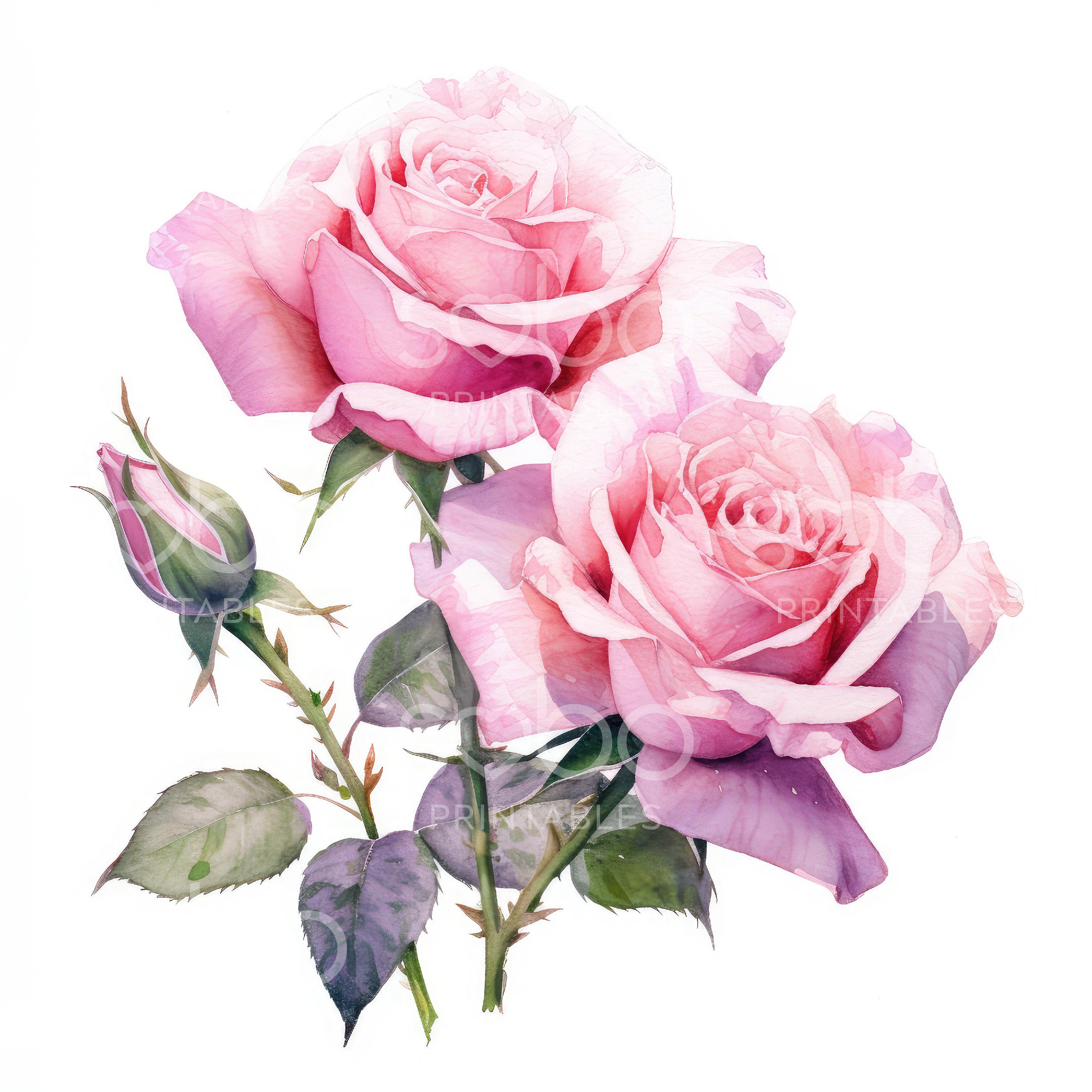 Pink Roses Clipart - 11 High Quality Jpgs, Digital Download, Junk ...