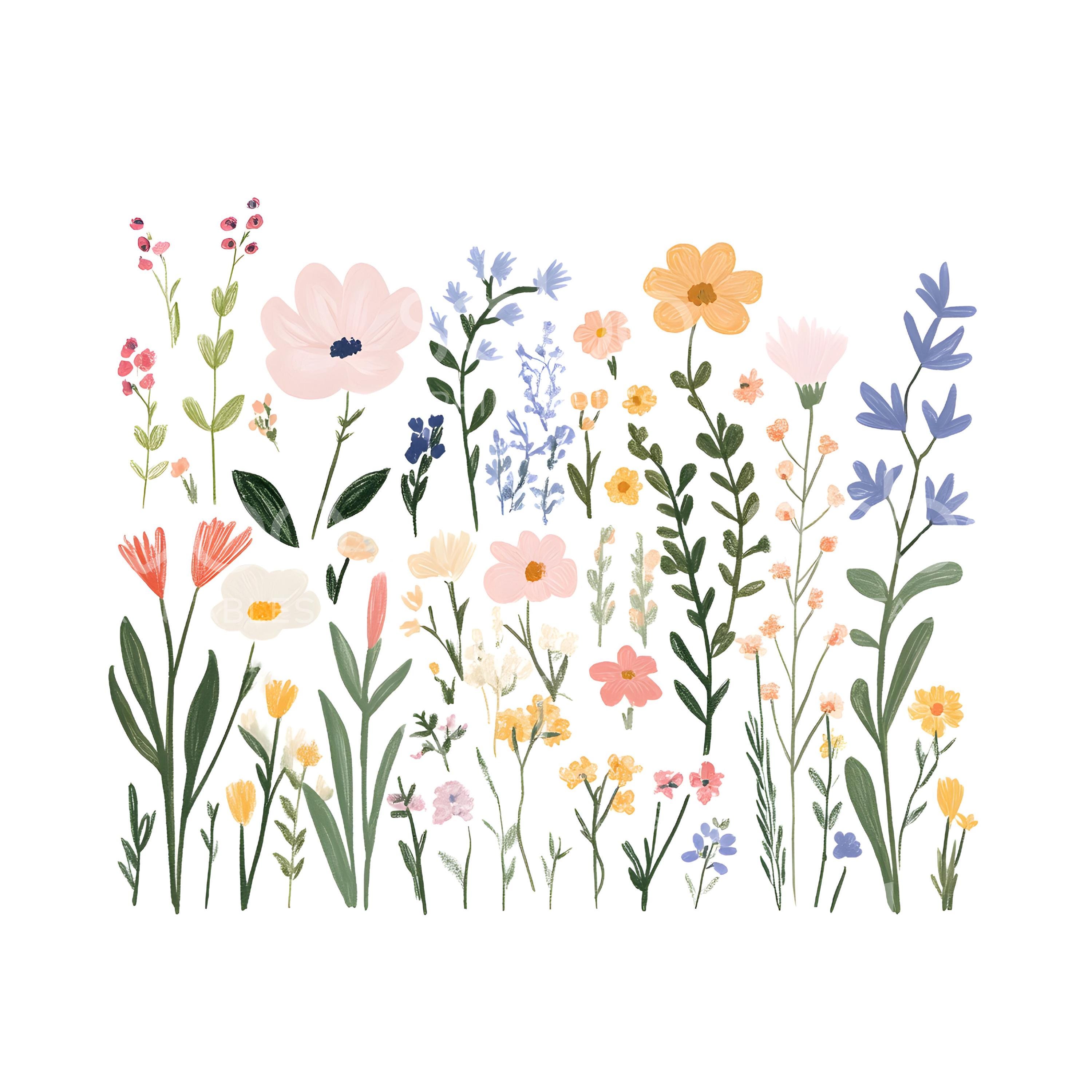 Bloem tekeningen - Etsy België, image size:3000x3000