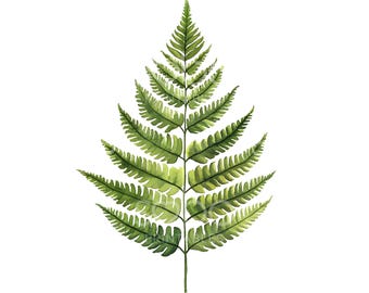 kirschlorbeer hochstamm 300 cm Kirschlorbeer als Spalierbaum 'Novita' main image 1