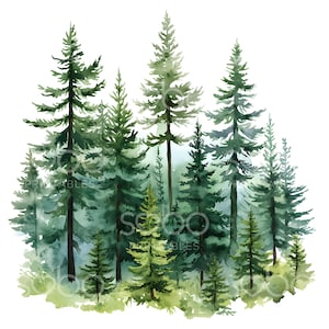 16 Clipart di pini, Clipart di foreste, Clipart di acquerelli stampabili della giungla, JPG di alta qualità, Download digitale, Arte murale, Carta artigianale S213