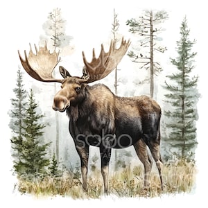 18 imágenes prediseñadas de alce, dibujo de alce, animal del bosque de alce, arte mural, manualidad para niños, JPG de alta calidad, descarga digital, manualidad de papel, diario basura S336