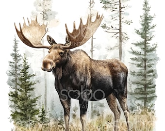 18 Moose Clipart, Desenho de alce, Animal da floresta de alces, Arte de parede, Artesanato infantil, JPG de alta qualidade, Download digital, Artesanato em papel, Diário de lixo S336