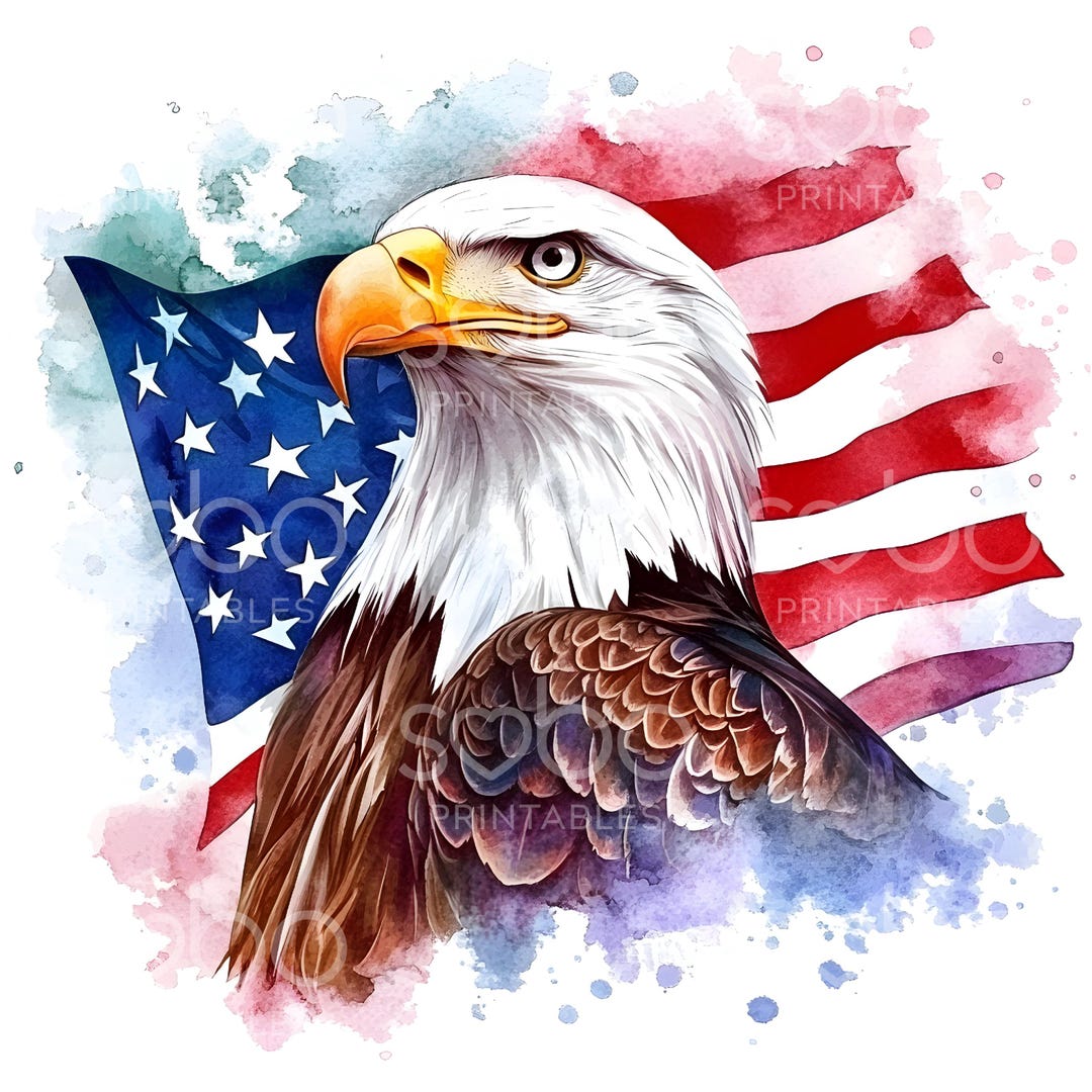 18 Patriotic Bald Eagle Flag Clipart, USA Flag, America Flag Eagle