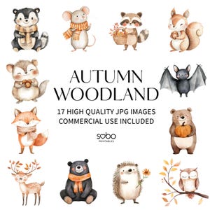 17 Animais da Floresta de Outono Clipart, Arte de berçário, Animais de Outono Clipart, Animais da Floresta Bonitos de Outono, Animais de Outono, Download Digital S205