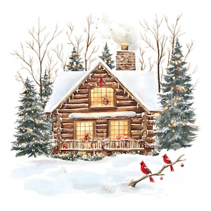20 hiver cabine Robins Clipart, Robin Bird, cabane, carte de Noël, JPG de haute qualité, agenda numérique, journaux indésirables, téléchargement numérique S367