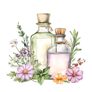 Clipart de bouteilles de Potion aux herbes 24, clipart fleurs herbes, clipart aquarelle imprimable, fichiers JPG de haute qualité, téléchargement numérique, créations en papier S483