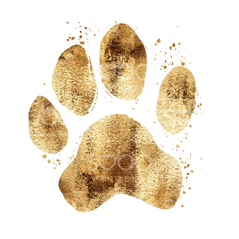 May include: A gold paw print with a textured, metallic finish. The print is isolated against a white background.