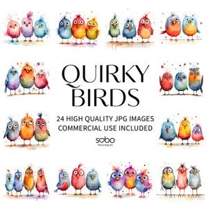 Clipart oiseaux originaux - 24 fichiers JPG de haute qualité, art mural, scrapbooking, journaux indésirables, agendas numériques, usage commercial, téléchargement numérique S92