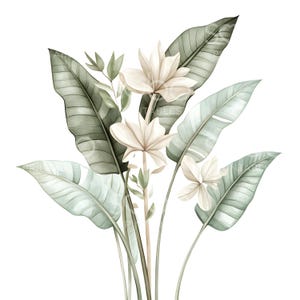 May include: Watercolor illustration of tropical flowers and leaves in soft green and cream tones. The image features large, stylized leaves and delicate, multi-petaled flowers. The artwork has a clean, white background, highlighting the natural elements.