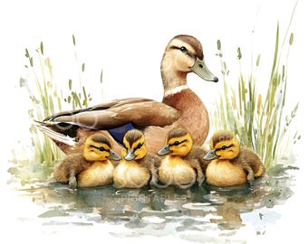 13 Mallard Ducks Clipart, Duck Clipart, Ducklings Pond, Printable Watercolor Art, High Quality JPGs, Digital Download, Junk Journal S227