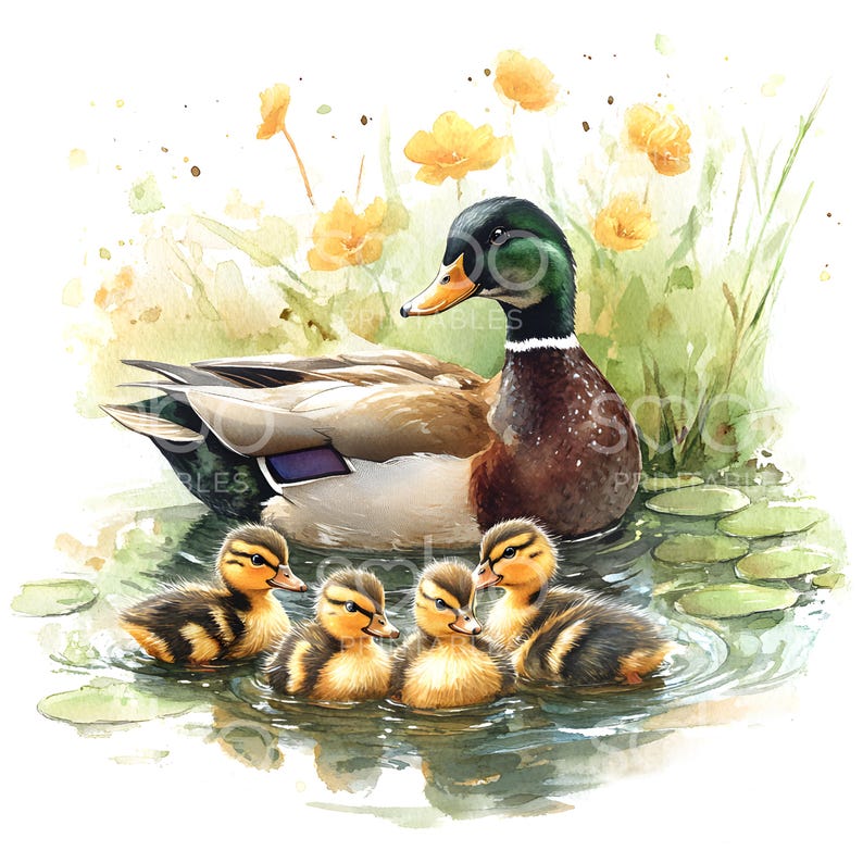 Pode incluir: Uma pintura em aquarela de uma m&atilde;e pato e seus patinhos. A m&atilde;e pato &eacute; marrom e verde com um bico amarelo. Os patinhos s&atilde;o amarelos e marrons com listras pretas. Os patos est&atilde;o nadando em um lago com nen&uacute;fares verdes.