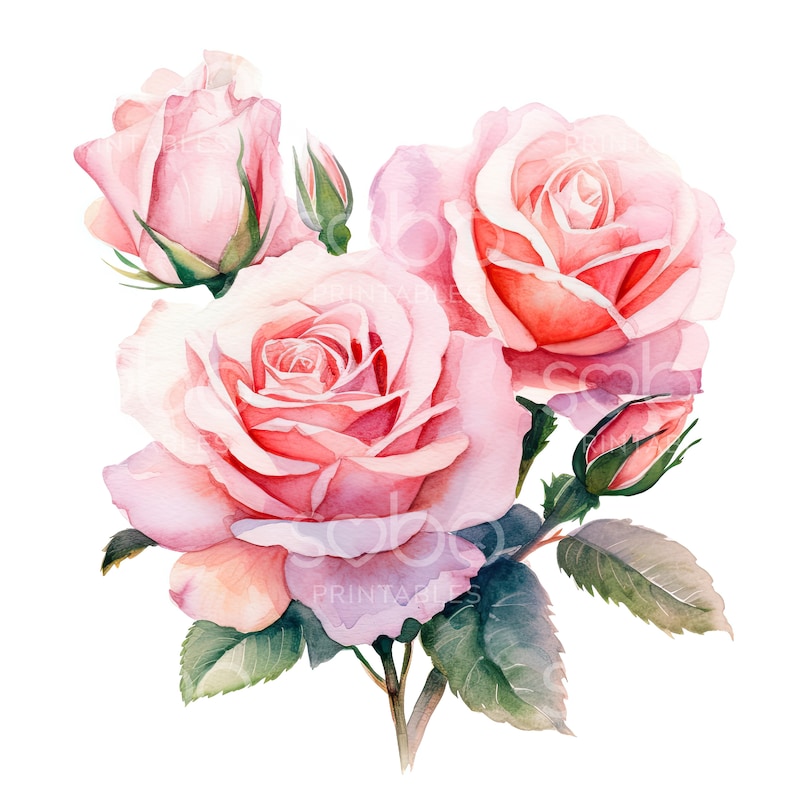 Pink Roses Clipart - 11 High Quality Jpgs, Digital Download, Junk ...