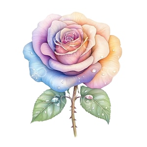 25 roses colorées Clipart, décoration de mariage rose, aquarelle imprimable, JPG de haute qualité, téléchargement numérique, créations en papier, Junk Journal S901